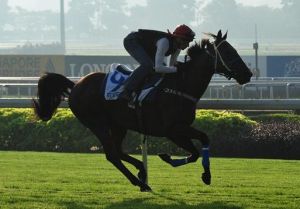 20140513_Johnny Guitar