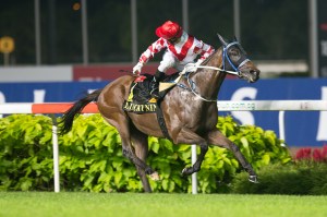 柏寶還有空看著後方對手，確定能否勝出賽事。 Source: HKJC