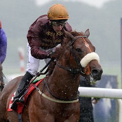 Hot Streak Horse Racing - Betfred Temple Stakes Raceday - Haydock Park Racecourse