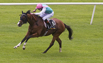 20140525_Noble_Mission