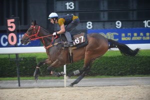 20140527_Wonder_Mossman