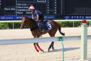 20140528_Deep_Thinker