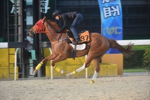 20140528_Just_In_Time