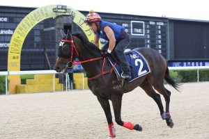 20140530_Winning_Leader