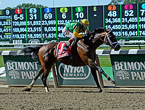 20140607_Palace_Malice