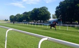 20140708_Noozhoh_Canarias