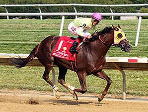 20140713_Belle_Gallantey