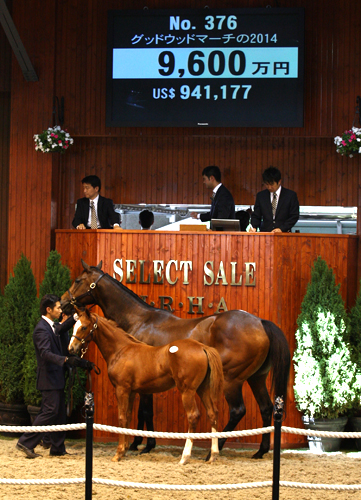 20140715_Goodwood_March_2014