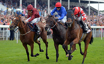 20140726_Sheikhzayedroad