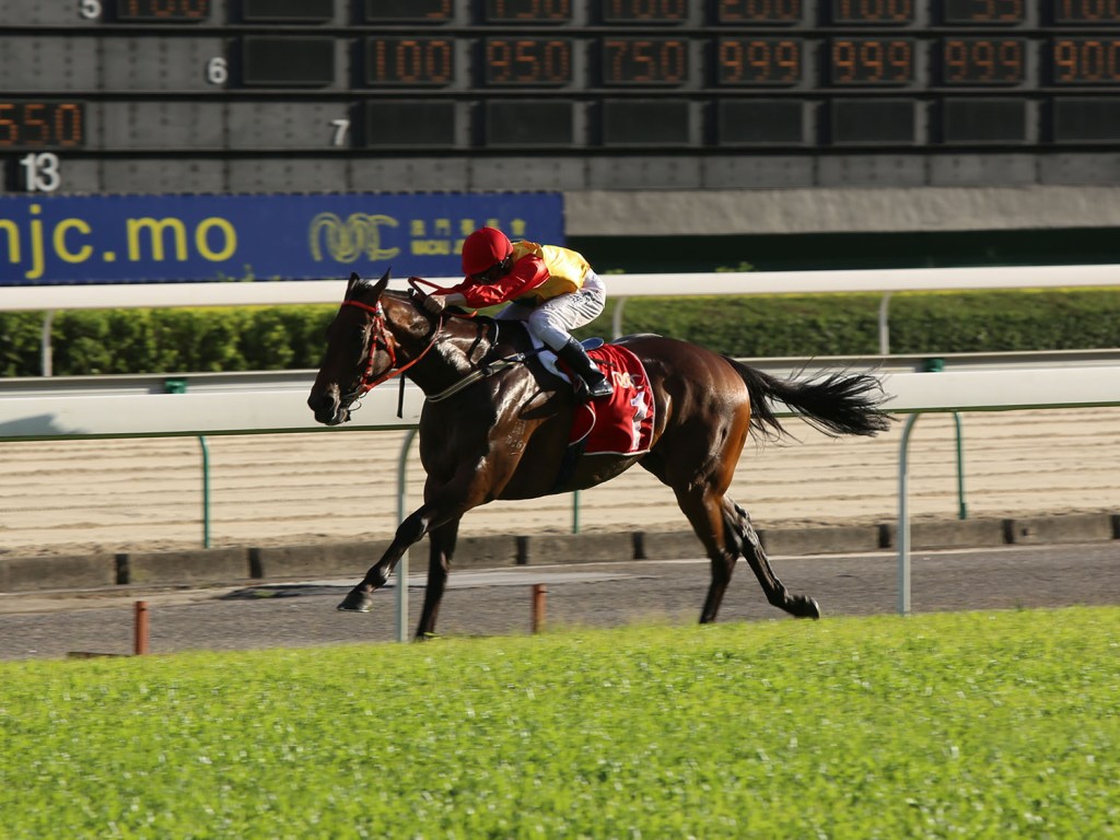 20140726_Wonder_Mossman