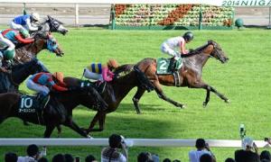 20140803_Saiko_Raiko