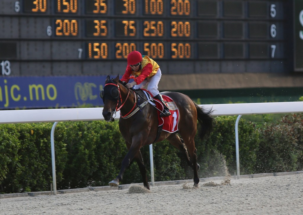 20140816_Wonder_Mossman