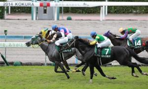 20140824_Little_Gerda