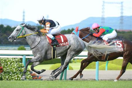 20140914_Little_Gerda