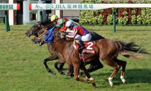 20140928_One_And_Only