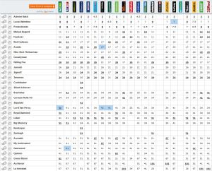 20141031_Melbourne_Cup_Betting