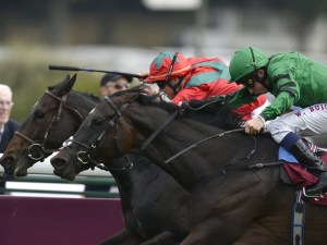 Source : sportinglife