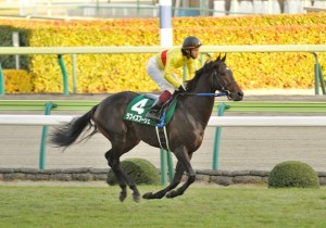 20131117_Love_Is_Boo_Shet