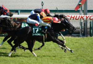 20140315_Martinbough