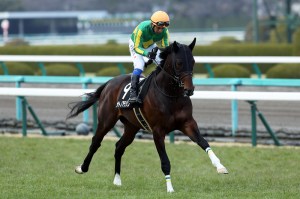 20140315_Satono_Aladdin