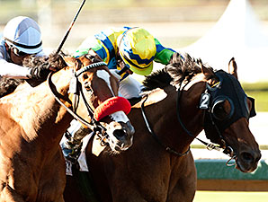 20141004_Rich_Tapestry