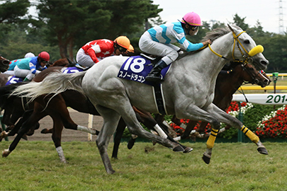 20141005_Snow_Dragon