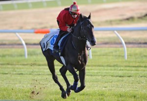 20141008_Guest_of_Honour