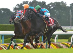 20141014_Last_Impact