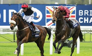 20141018_Forgotten_Rules