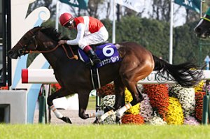 20141018_Shonan_Pandora