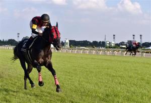 20141019_A_Shin_Hikari