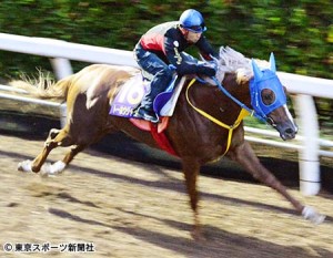 20141022_Toho_Jackal