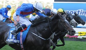 先到終點的還是「阿德萊市」 Source: racing.com