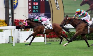 20141026_Aerovelocity