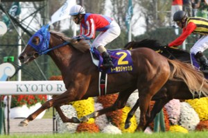 20141026_Toho_Jackal