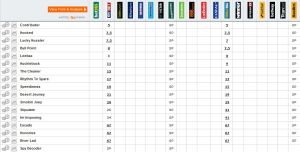 20141107_Emirates_Betting