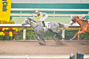 20140208_Smart_Volatility