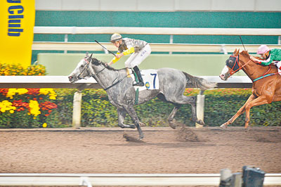 20140208_Smart_Volatility