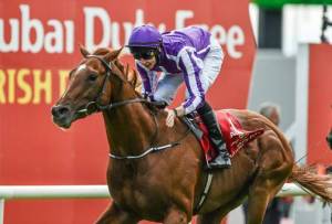 20140629_Australia_3