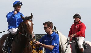 20141018_Contributer