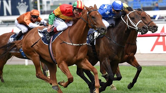 20141101_Happy_Trails