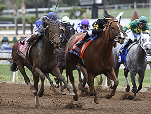 20141101_Judy_the_Beauty