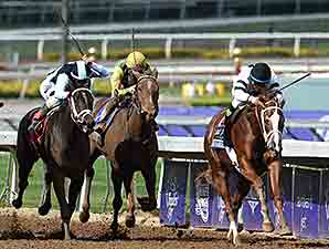 20141101_Take_Charge_Brandi