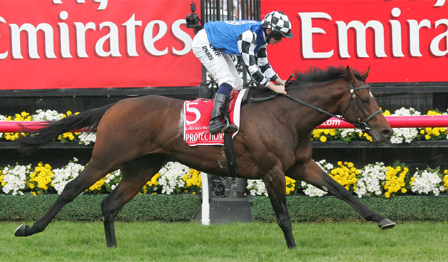 20141104_Protectionist