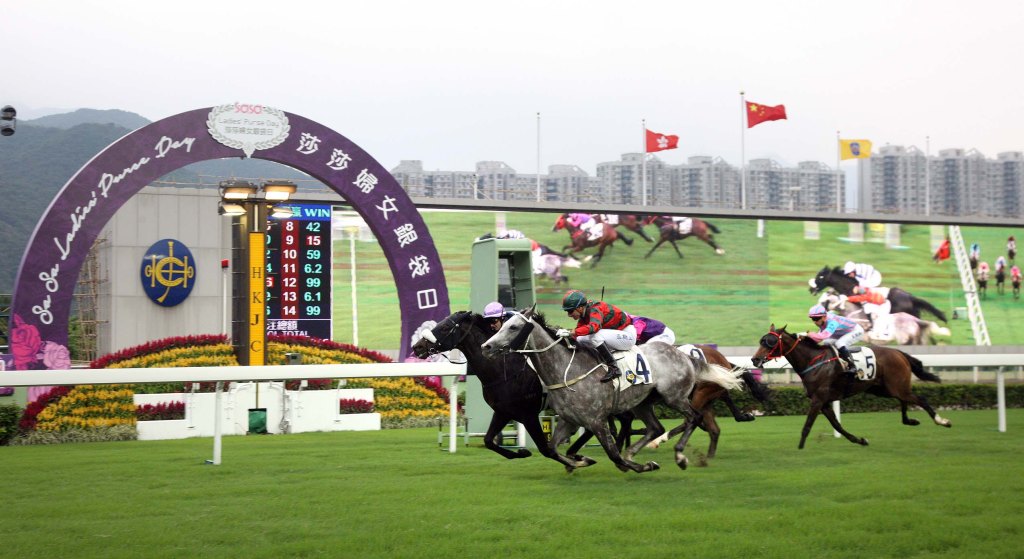 20141109_Packing Llaregyb