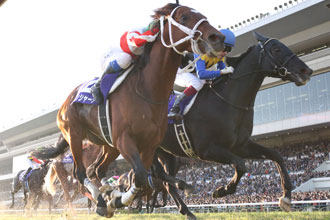 20141123_Danon_Shark