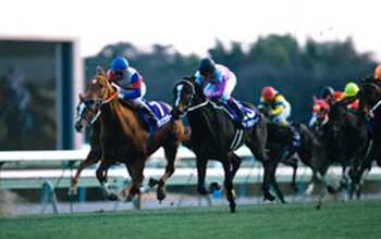 [Flameracing]經典賽事，只差4cm有馬紀念賽勝負