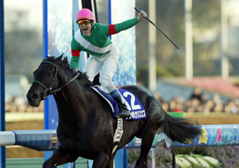 日本馬王吉兆離世