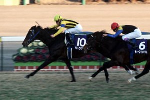 20051225_Heart's_Cry