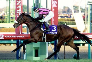 20071223_Matsurida_Gogh